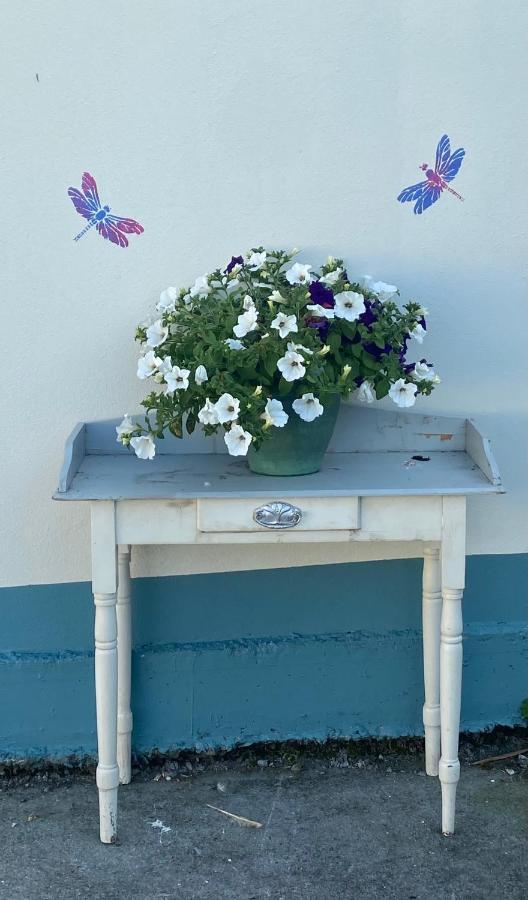 Farm Stay Property Pets And Families Welcome Rossnowlagh ภายนอก รูปภาพ