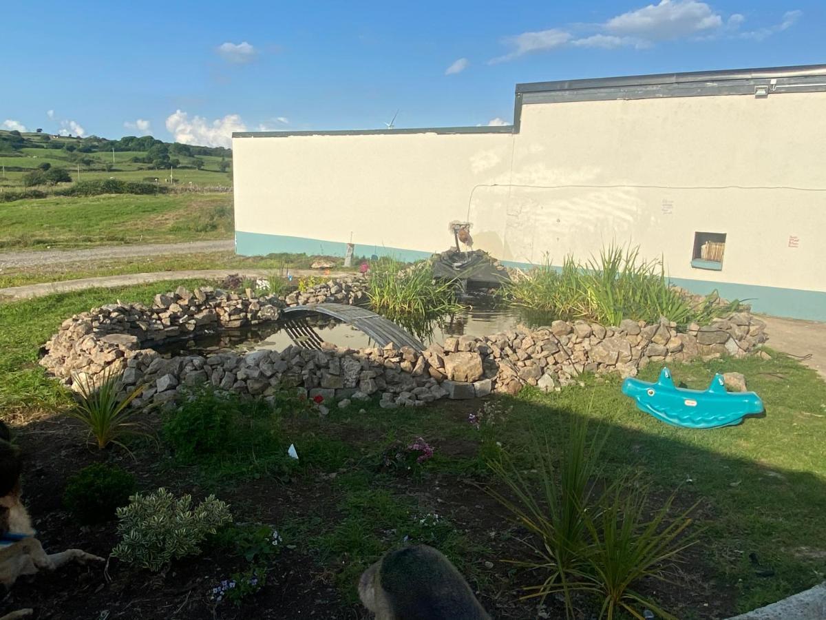 Farm Stay Property Pets And Families Welcome Rossnowlagh ภายนอก รูปภาพ