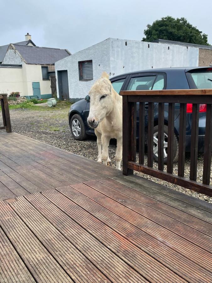 Farm Stay Property Pets And Families Welcome Rossnowlagh ภายนอก รูปภาพ
