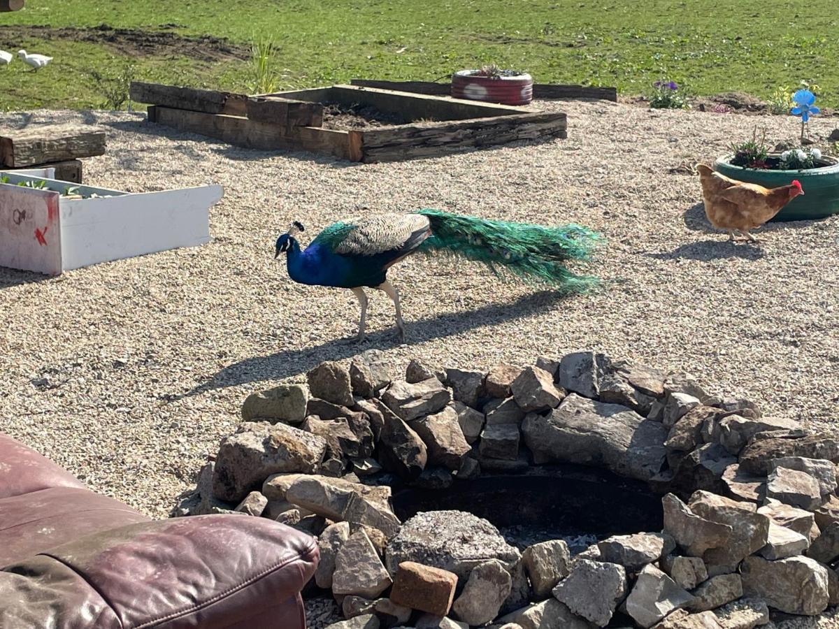 Farm Stay Property Pets And Families Welcome Rossnowlagh ภายนอก รูปภาพ