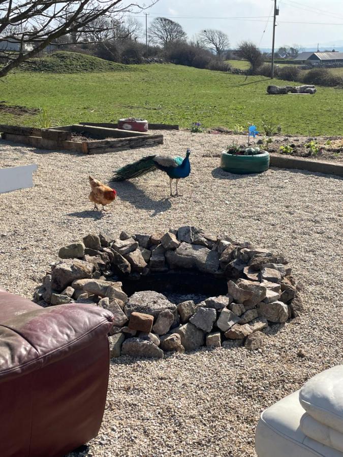 Farm Stay Property Pets And Families Welcome Rossnowlagh ภายนอก รูปภาพ