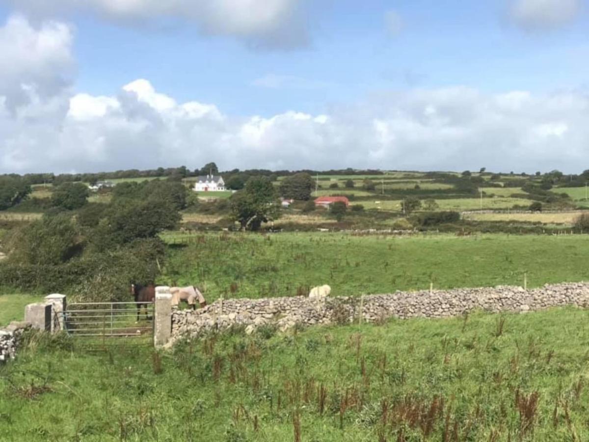 Farm Stay Property Pets And Families Welcome Rossnowlagh ภายนอก รูปภาพ